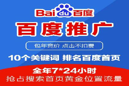 百度SEO推广策略深度解读：某企业网络营销的胜利之路